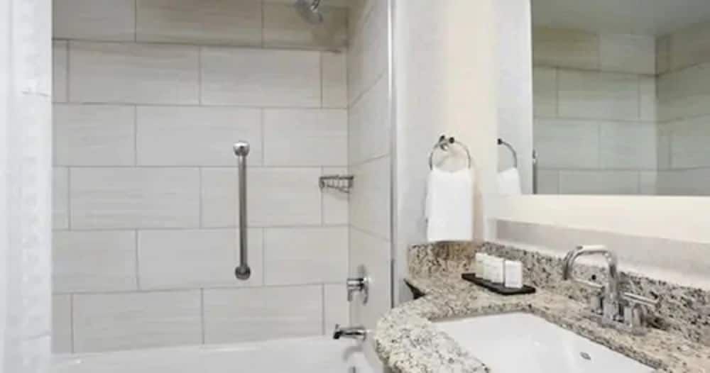 Embassy Suites by Hilton Orlando Airport Suite, 1 King Bed with Sofa bed 6