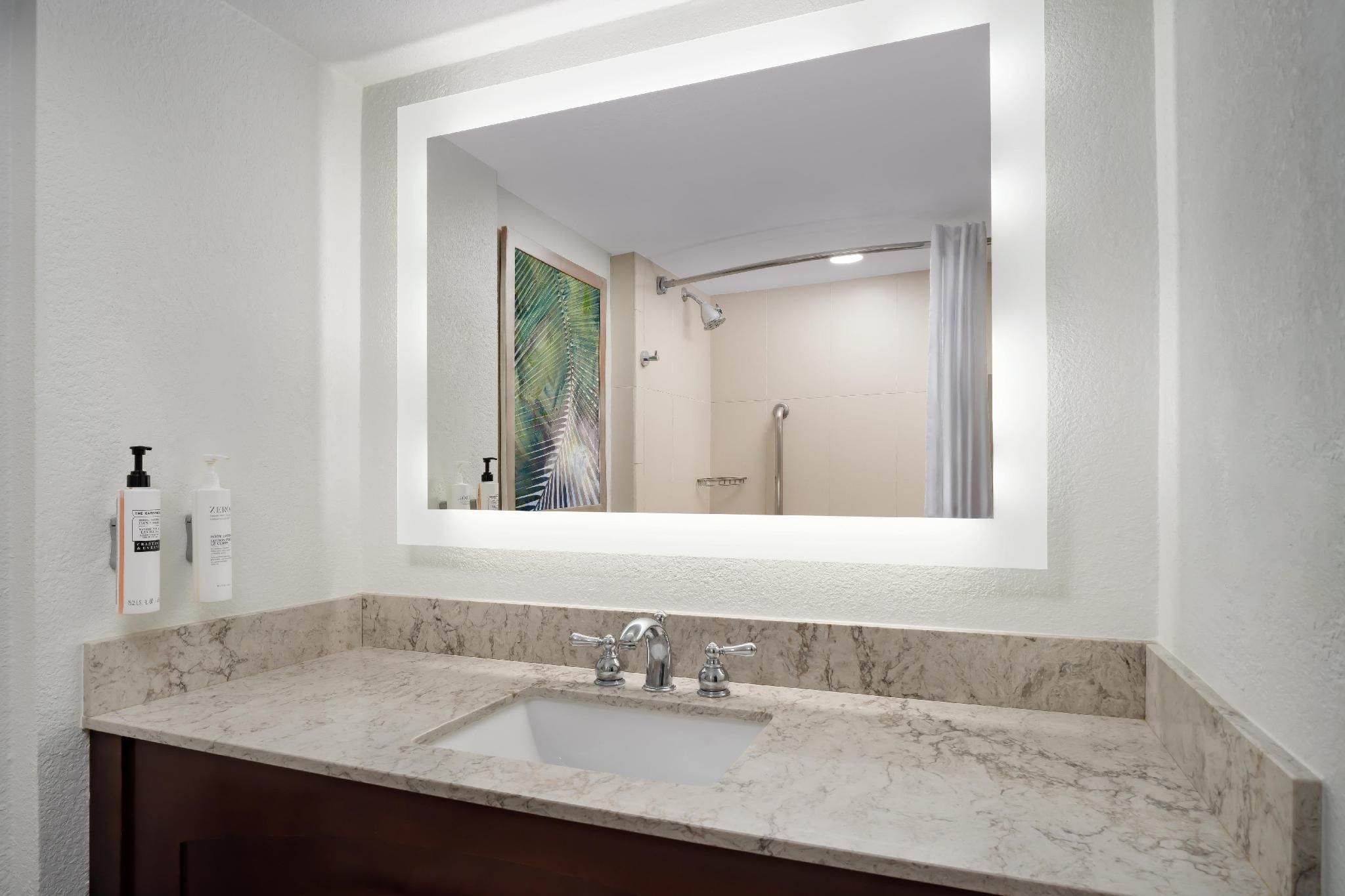 undefined Embassy Suites by Hilton Orlando Lake Buena Vista Resort 6