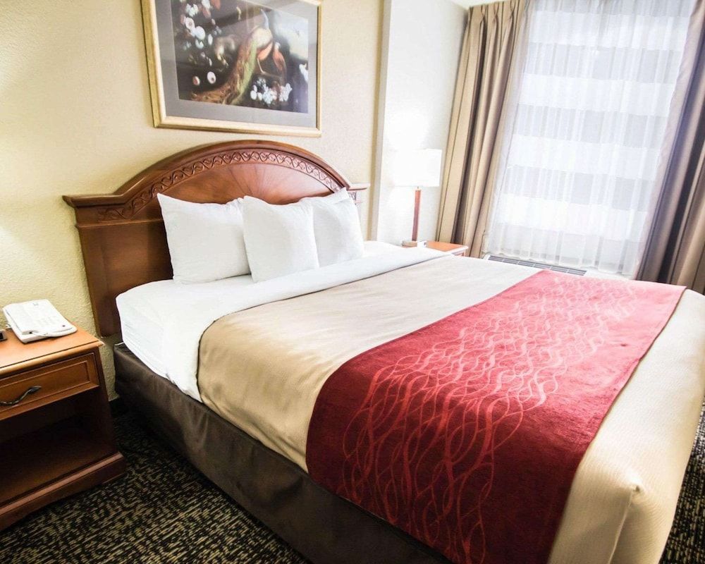 undefined Quality Inn & Suites Winter Park Village Area 2