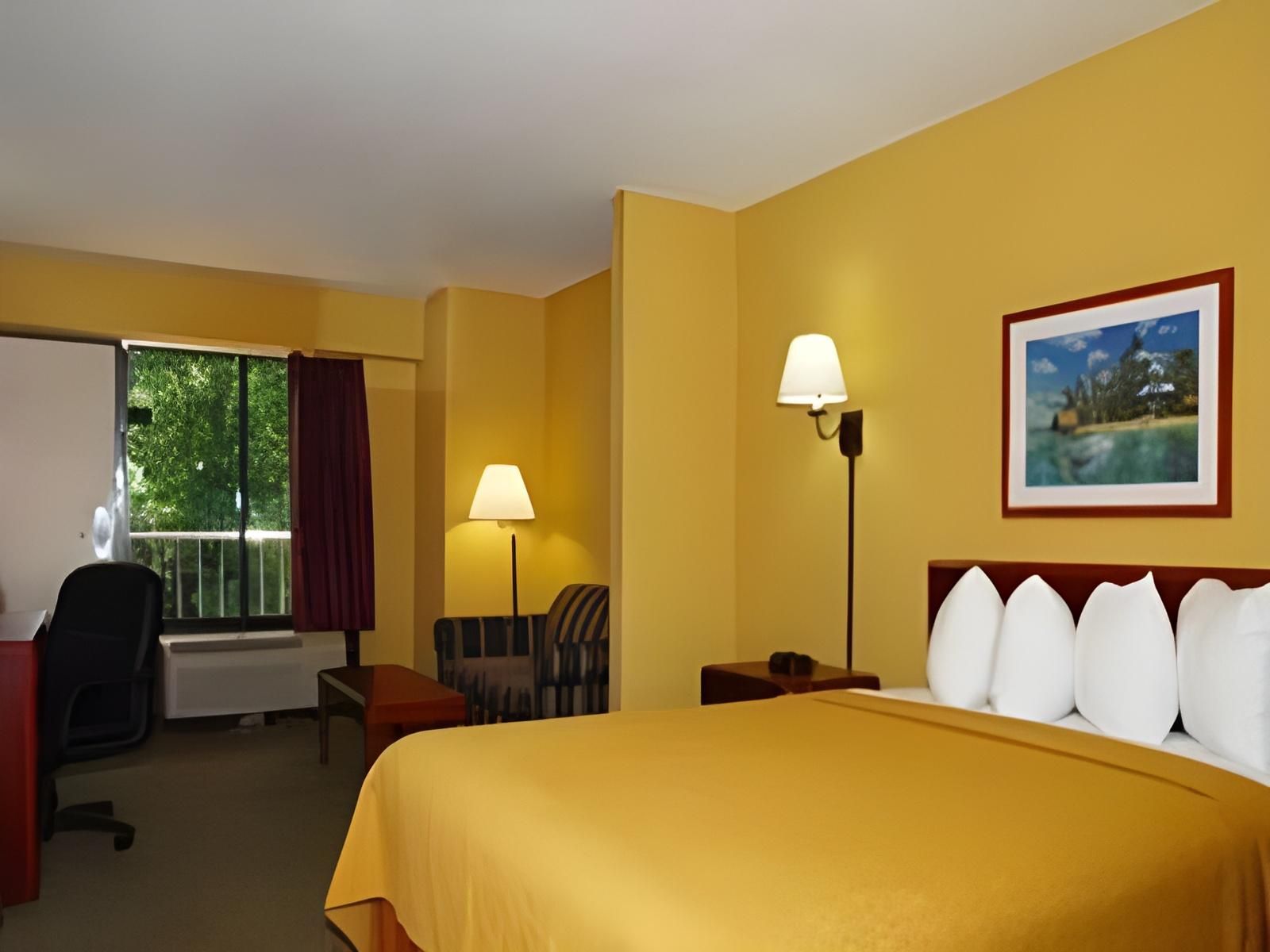1 Bedroom Suite