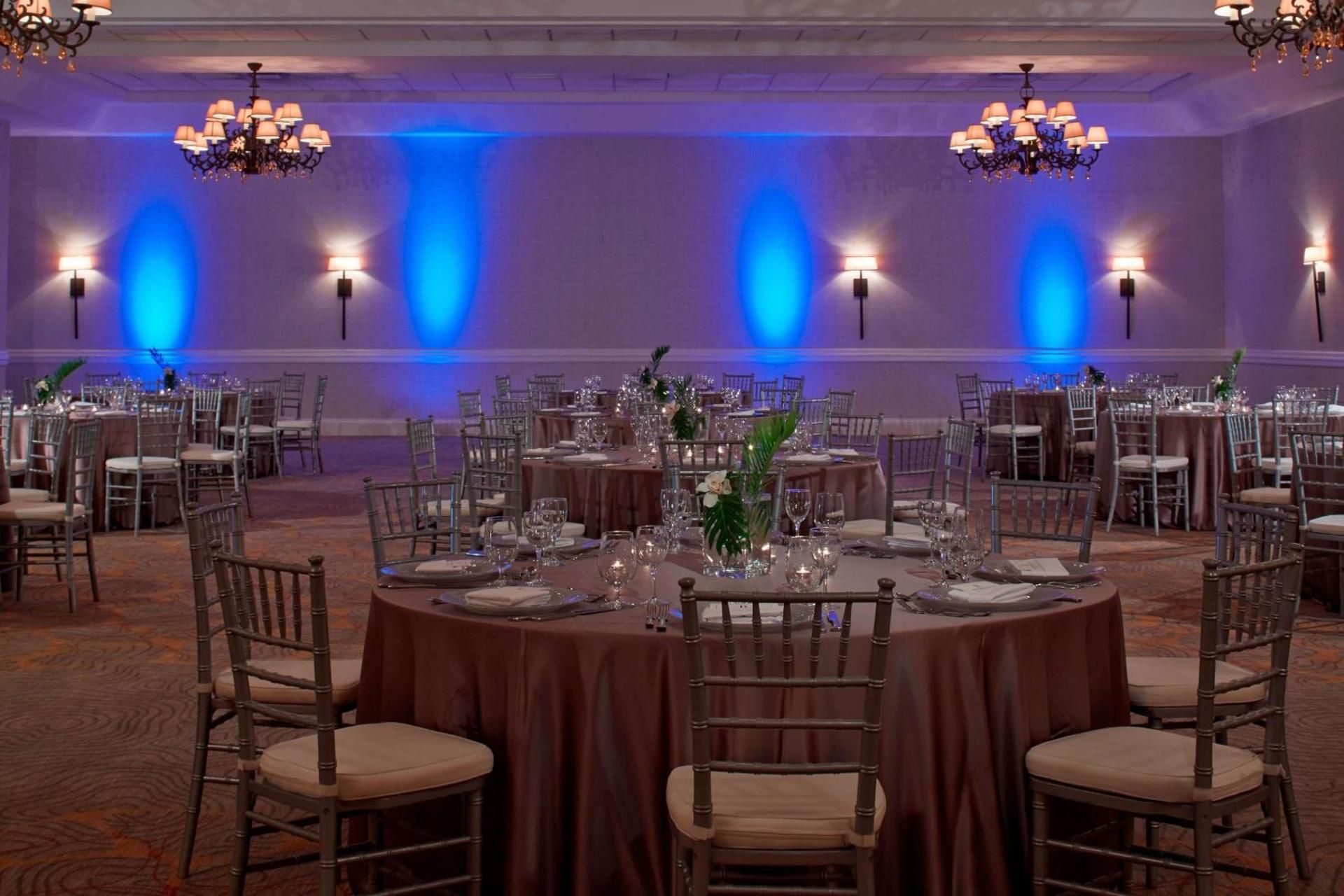 undefined Renaissance Orlando Airport Hotel 2