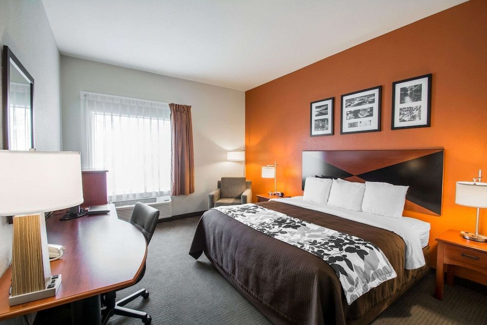 Standard Room, 1 King Bed, Non Smoking