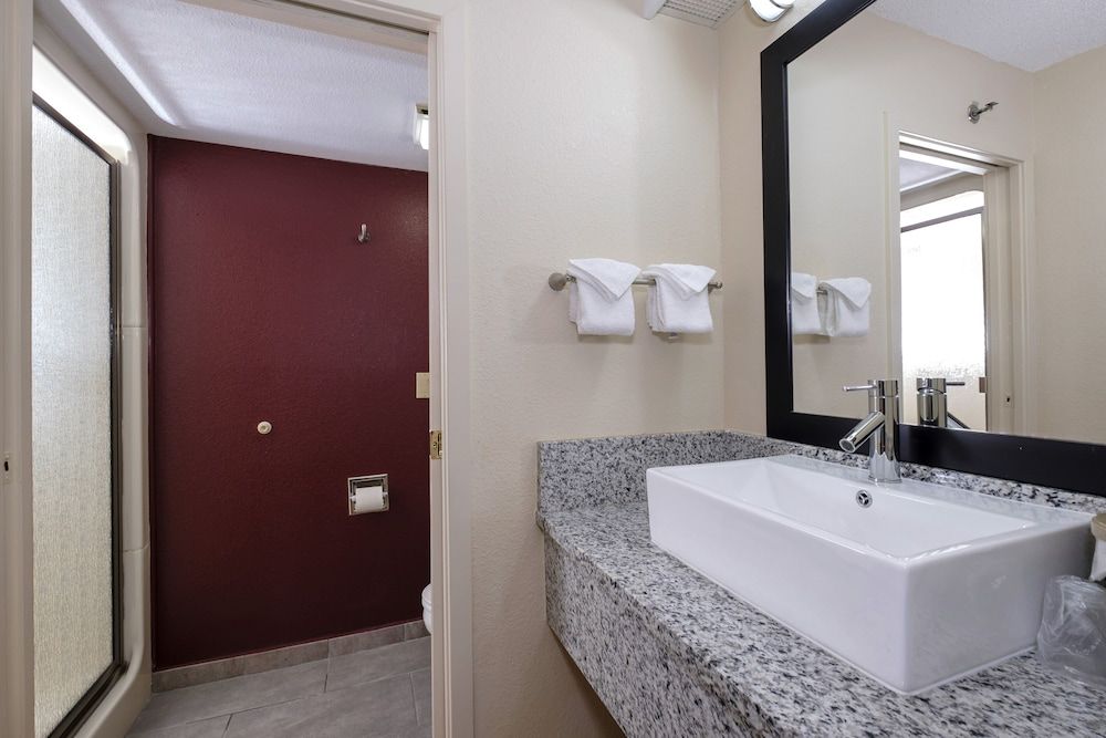 Red Roof Inn PLUS+ Palm Coast Premium Room, 1 King Bed, Poolside (Upgraded Bedding & Snack, Smoke Free) 6