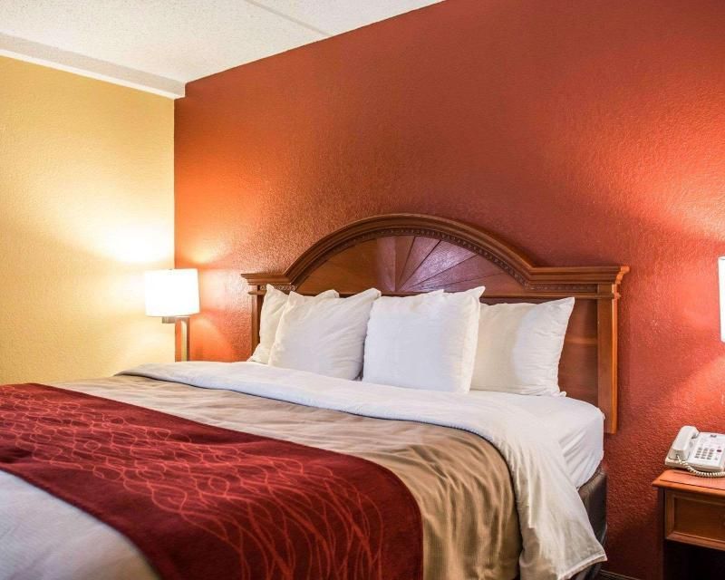 1 Bedroom Suite