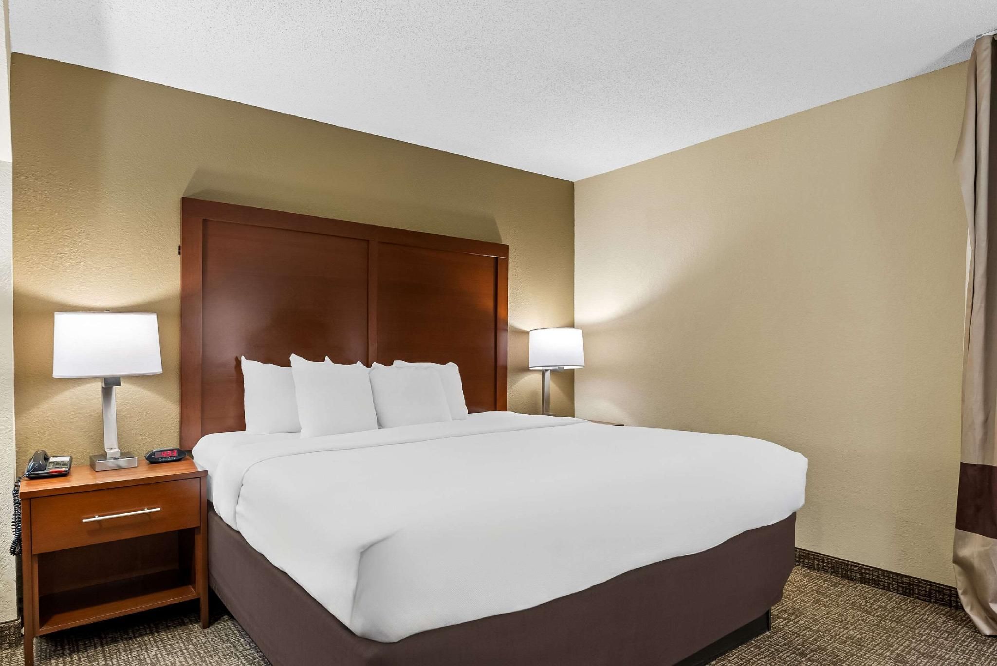 1 King Bed, Suite, Nonsmoking