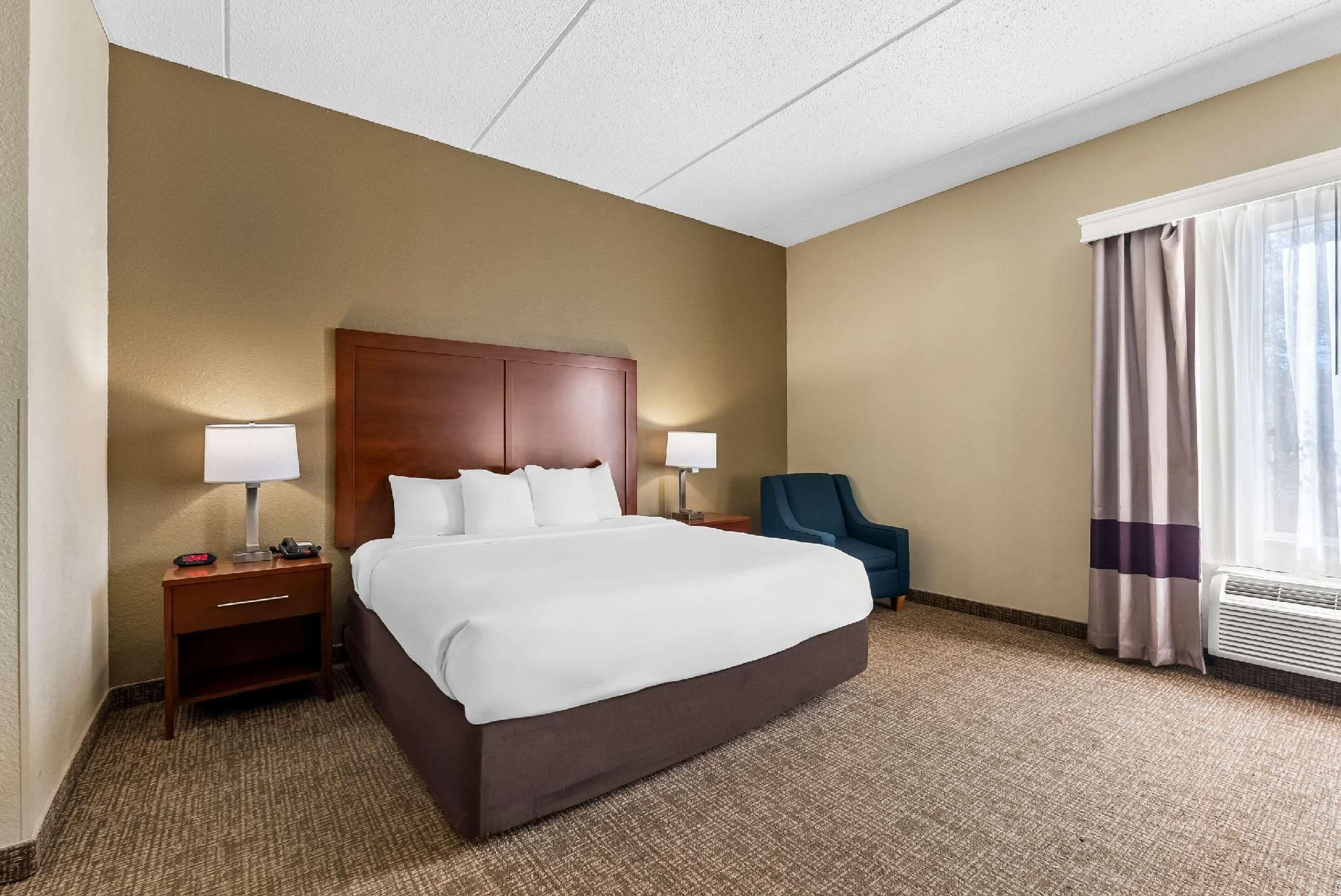 1 King Bed, Nonsmoking, Accessible