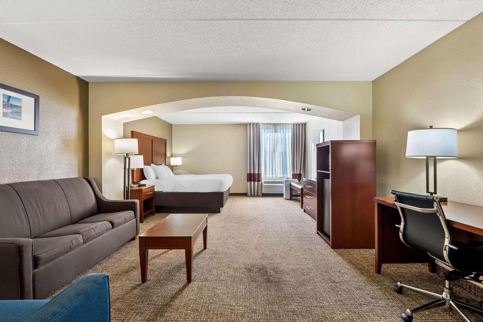 Deluxe King Suite with Sofa Bed - Non-Smoking