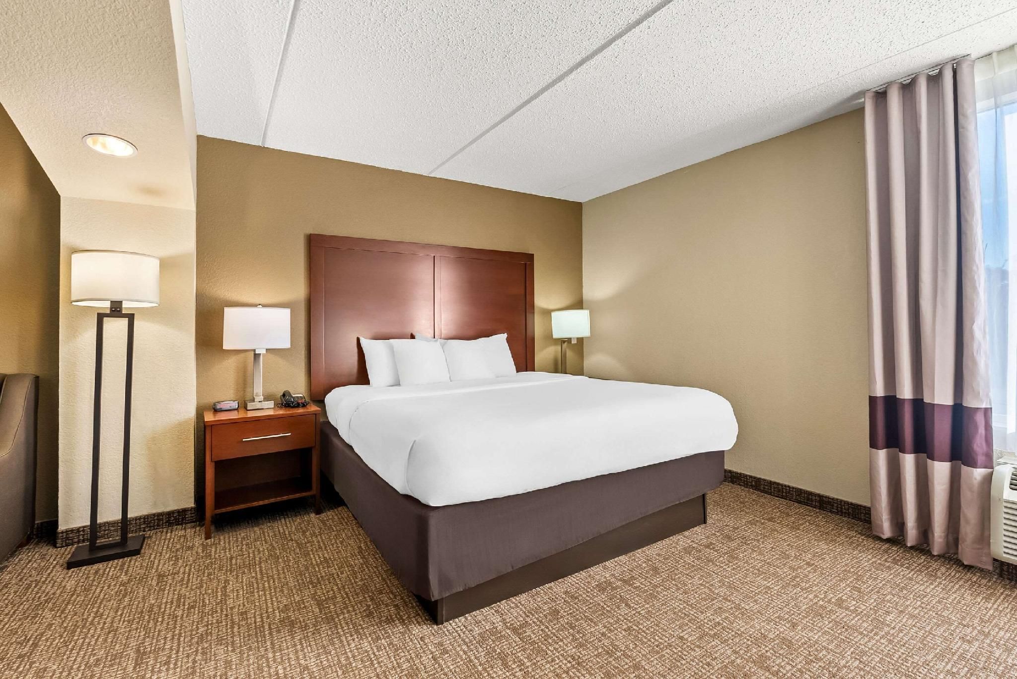1 King Bed, Suite, Nonsmoking, Accessible