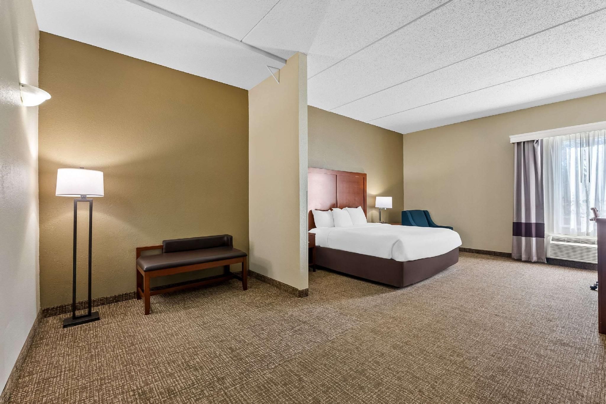 1 King Bed, Nonsmoking, Accessible