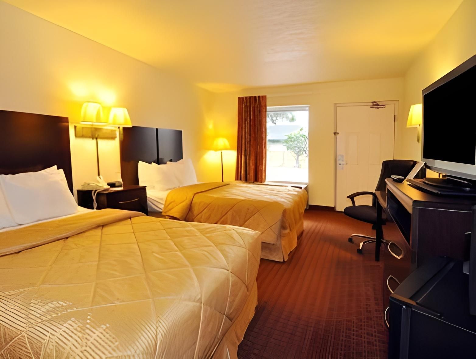 1 Bedroom Suite