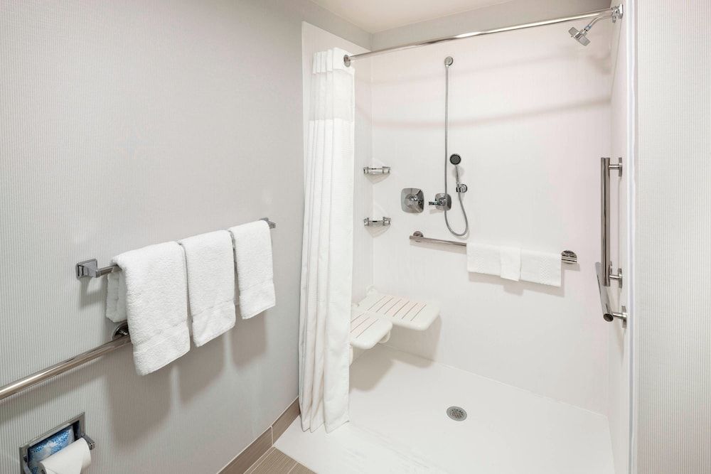 Room, 1 King Bed with Sofa bed (Mobility Accessible, Roll-In Shower)