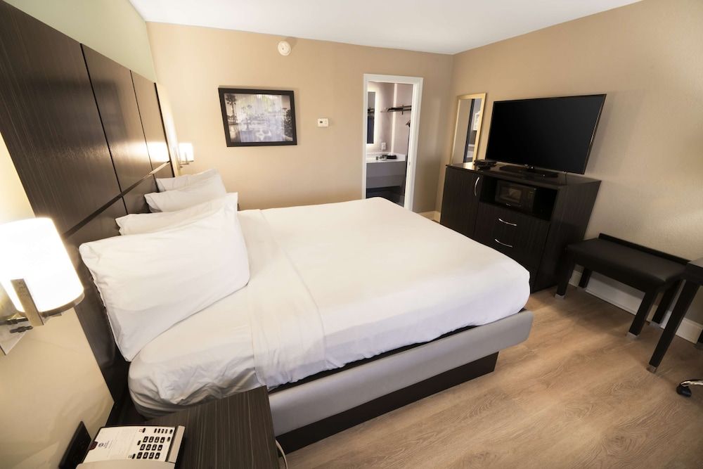 Standard Room, 1 King Bed, Non Smoking, Refrigerator & Microwave