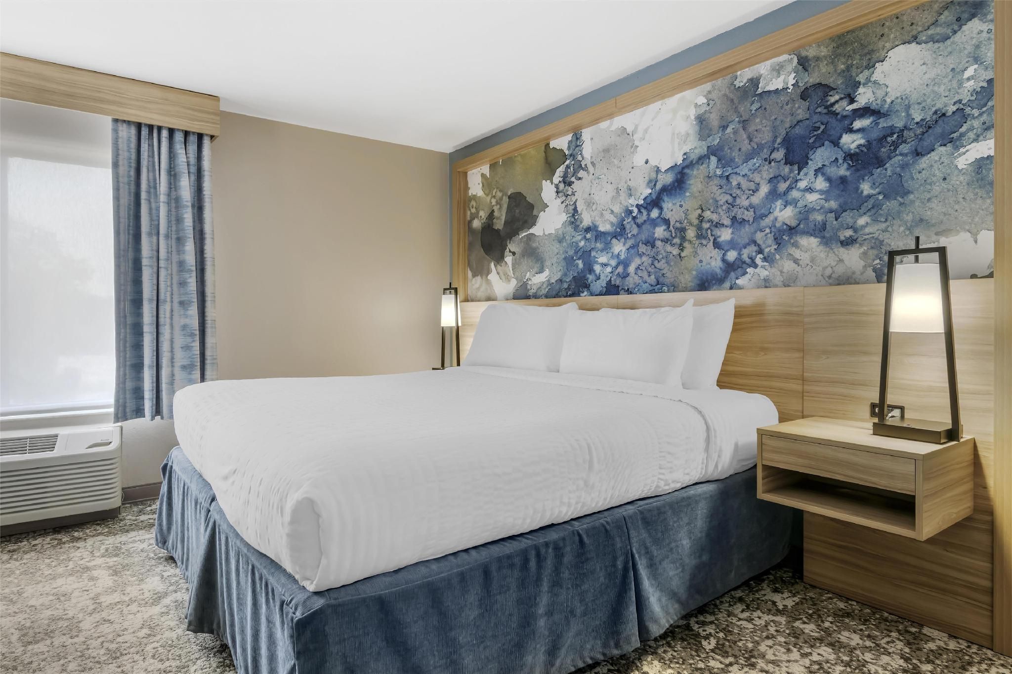 1 King Bed, Nonsmoking, Junior Suite, Sofabed