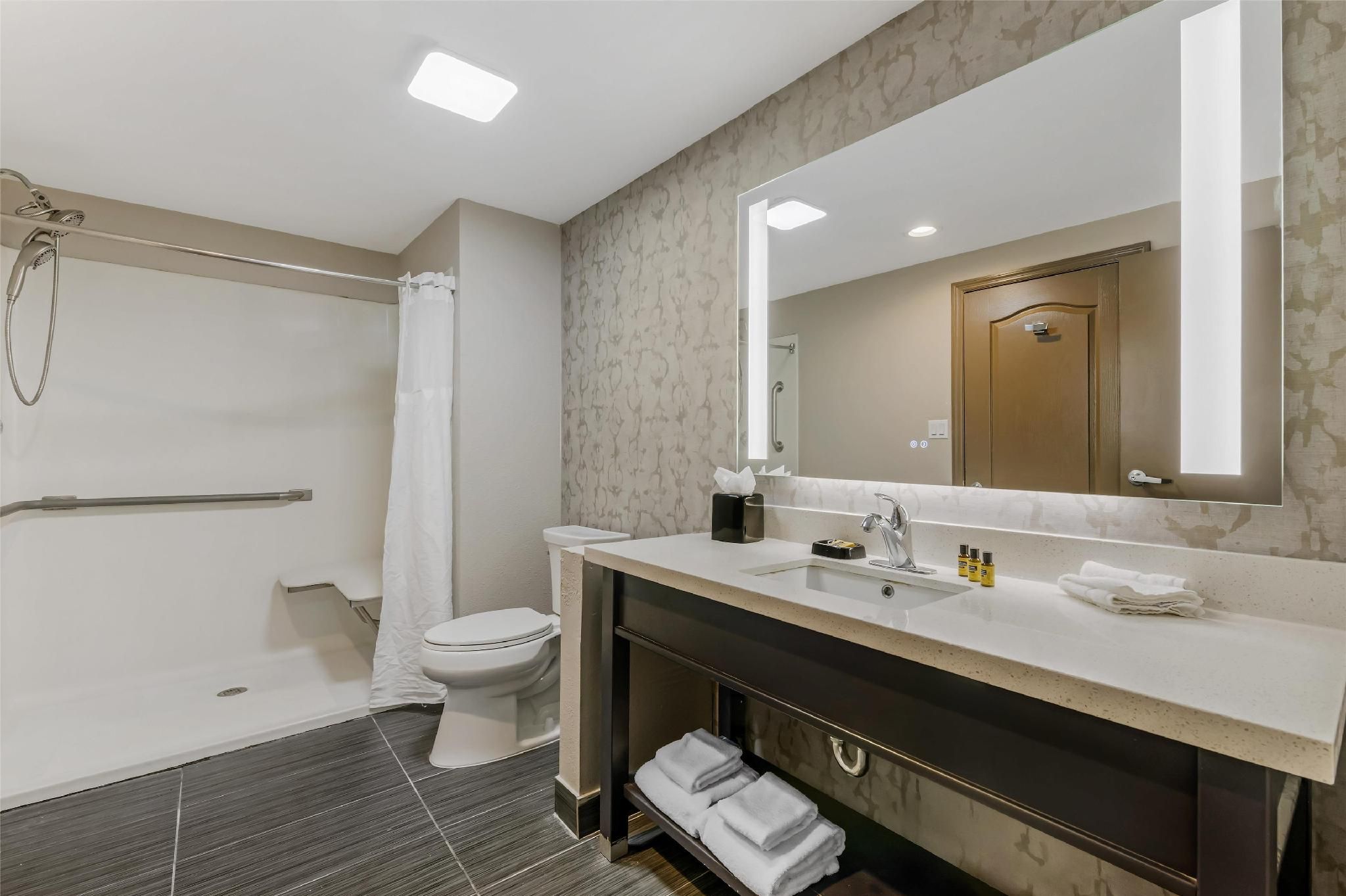 Suite - 1 King Bed, Nonsmoking, Executive Room, Sofabed