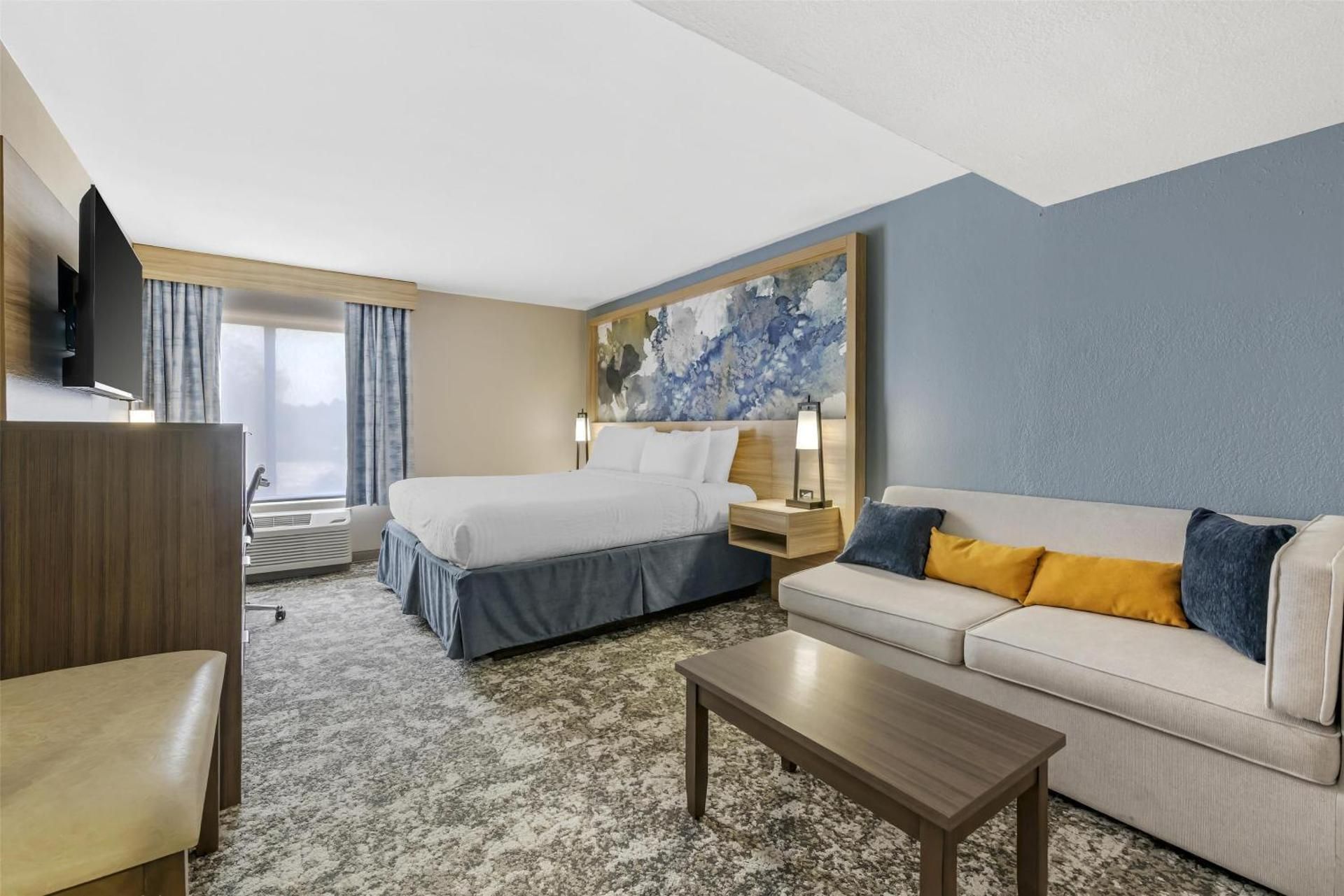 1 King Bed, Nonsmoking, Junior Suite, Sofabed