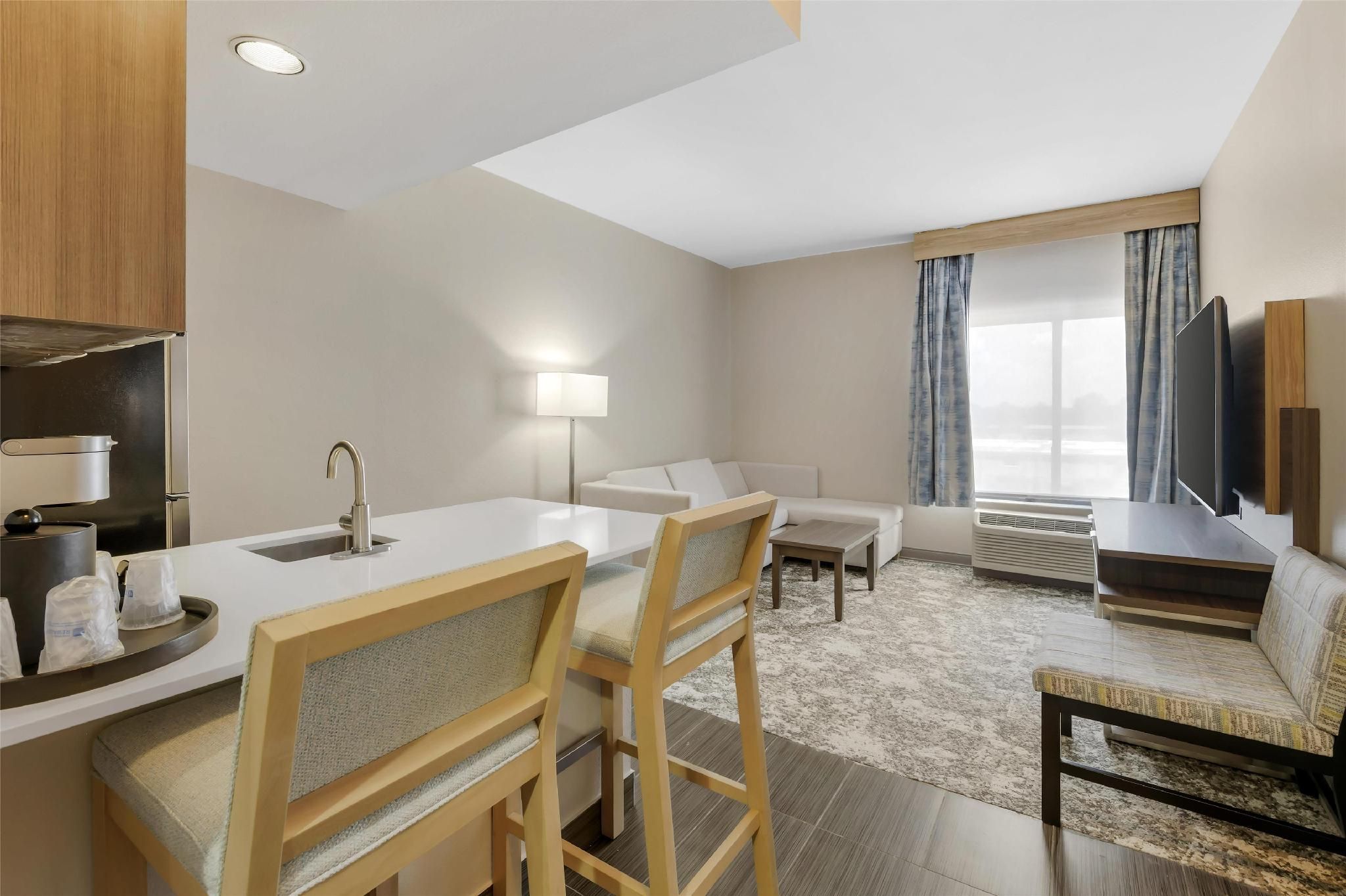 Suite - 1 King Bed, Nonsmoking, Executive Room, Sofabed