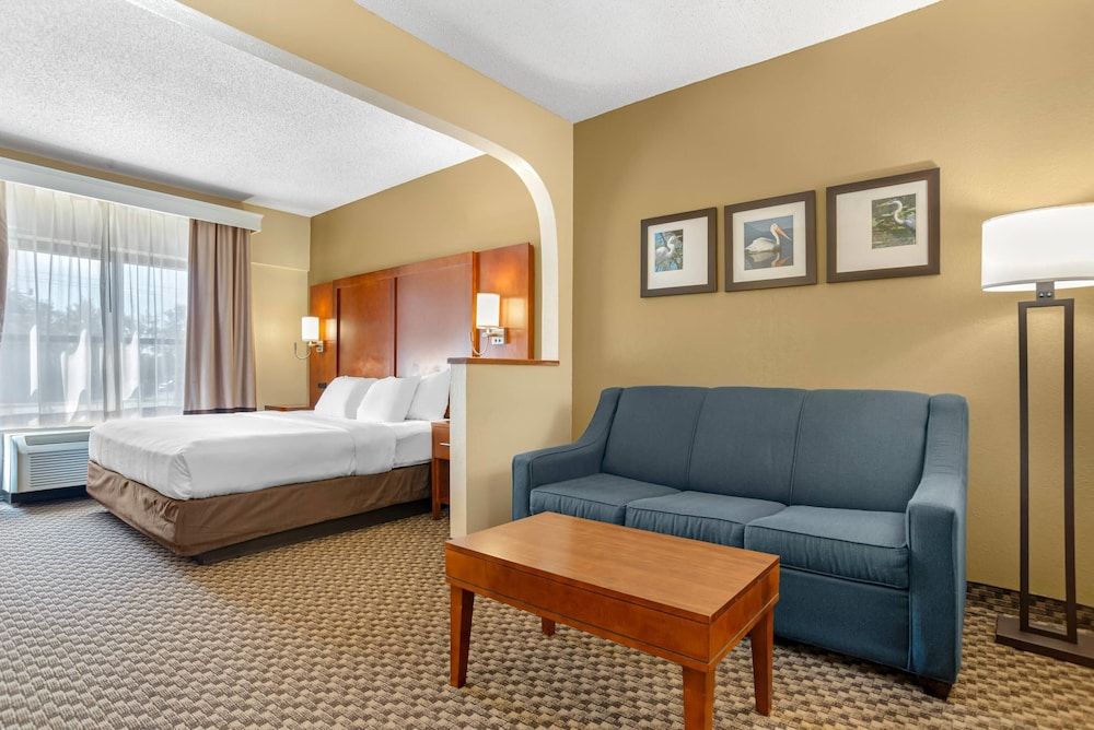 Suite, 1 King Bed with Sofa bed, Non Smoking (Pet Friendly)