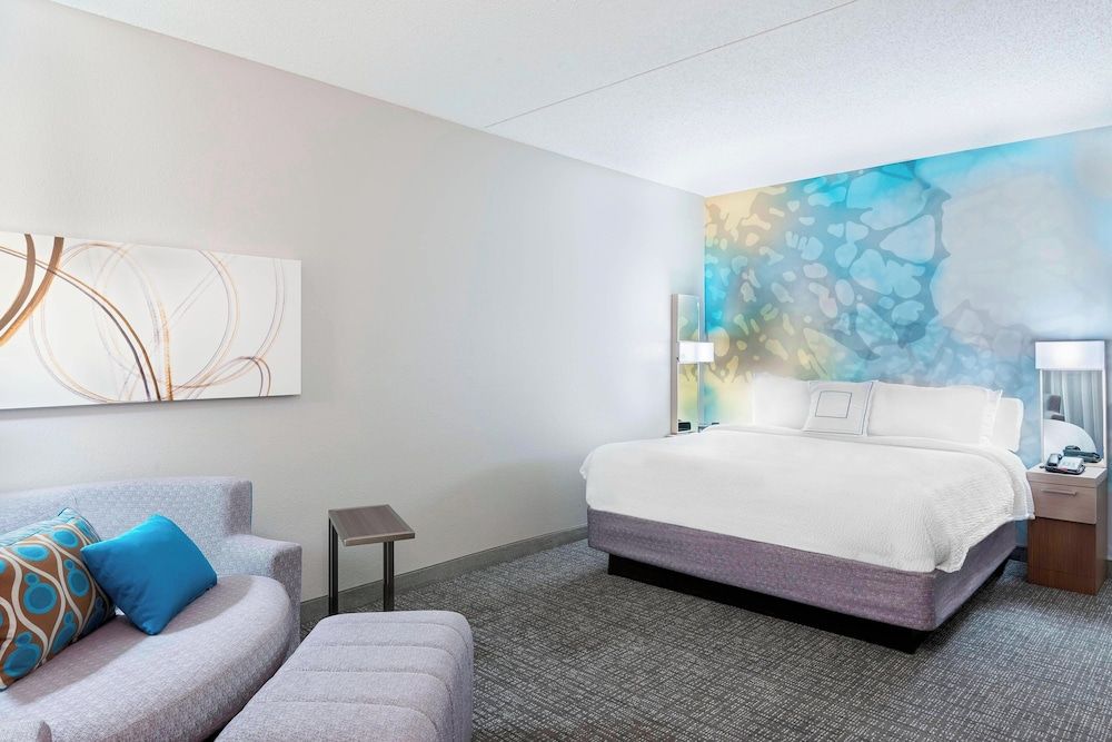 Room, 1 King Bed with Sofa bed