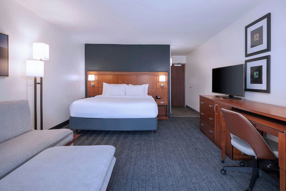 Room, 1 King Bed with Sofa bed (Hearing Accessible)
