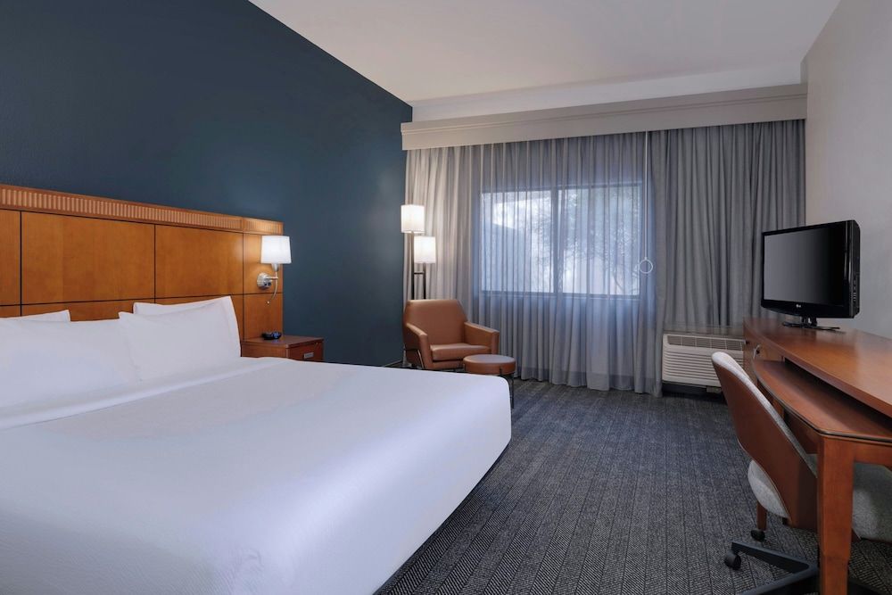 Room, 1 King Bed with Sofa bed