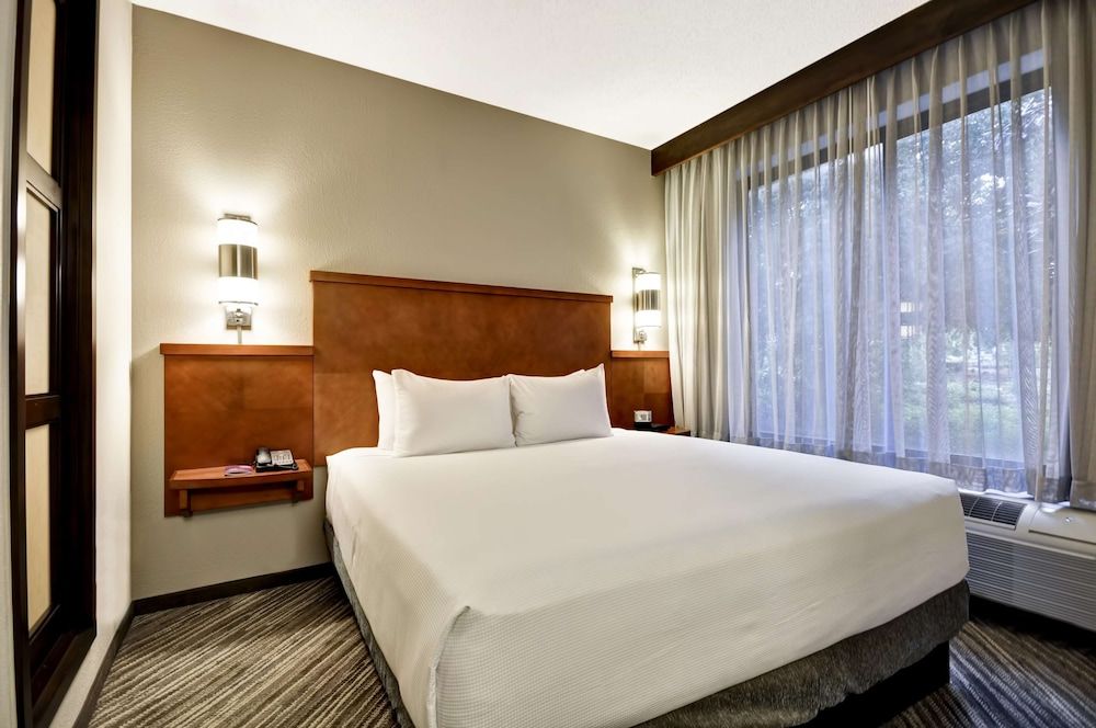 Room, 1 King Bed with Sofa bed (High Floor)