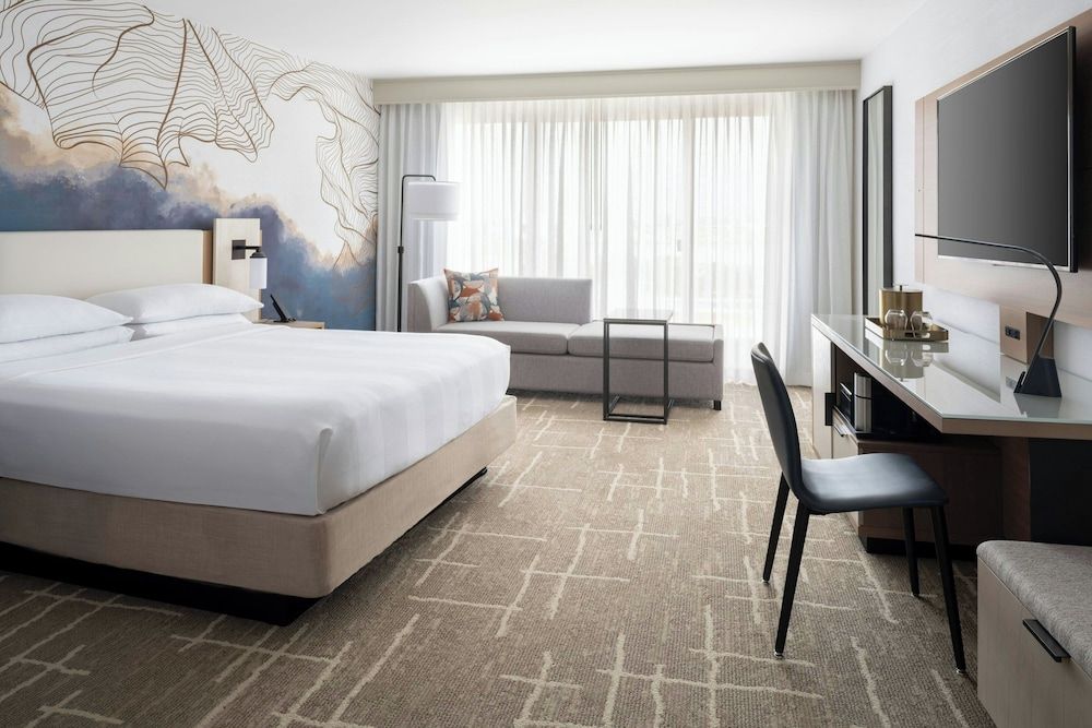 Room, 1 King Bed, Larger