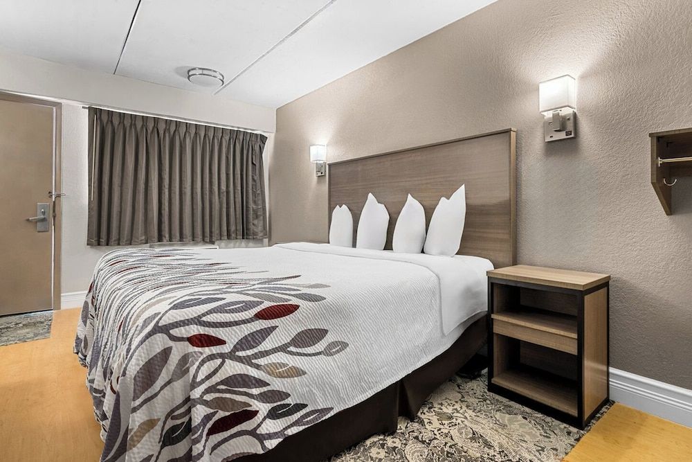 Standard Room, 1 King Bed, Accessible (Roll-In Shower, Smoke Free)