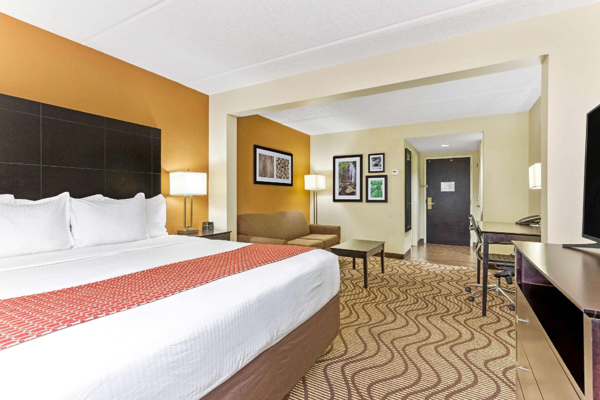 1 King Bed, Deluxe Suite, Non-Smoking