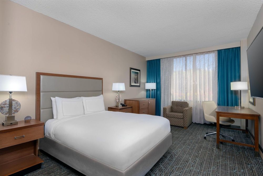 Room, 1 Queen Bed, Accessible, Bathtub (Hearing)