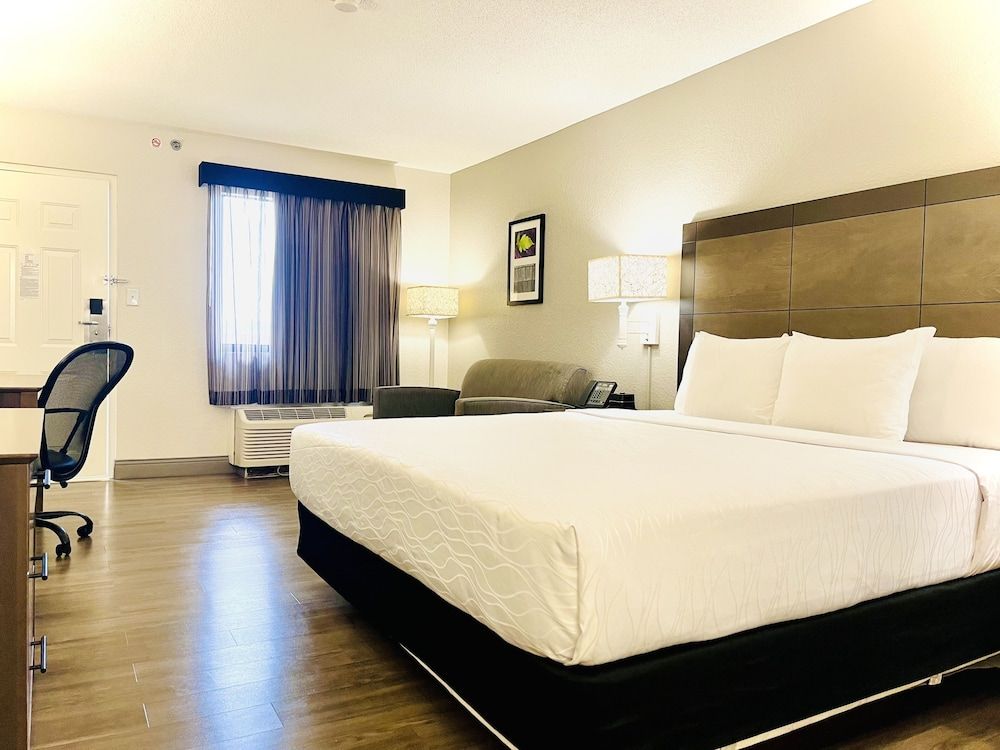 Deluxe Room, 1 King Bed, Non Smoking