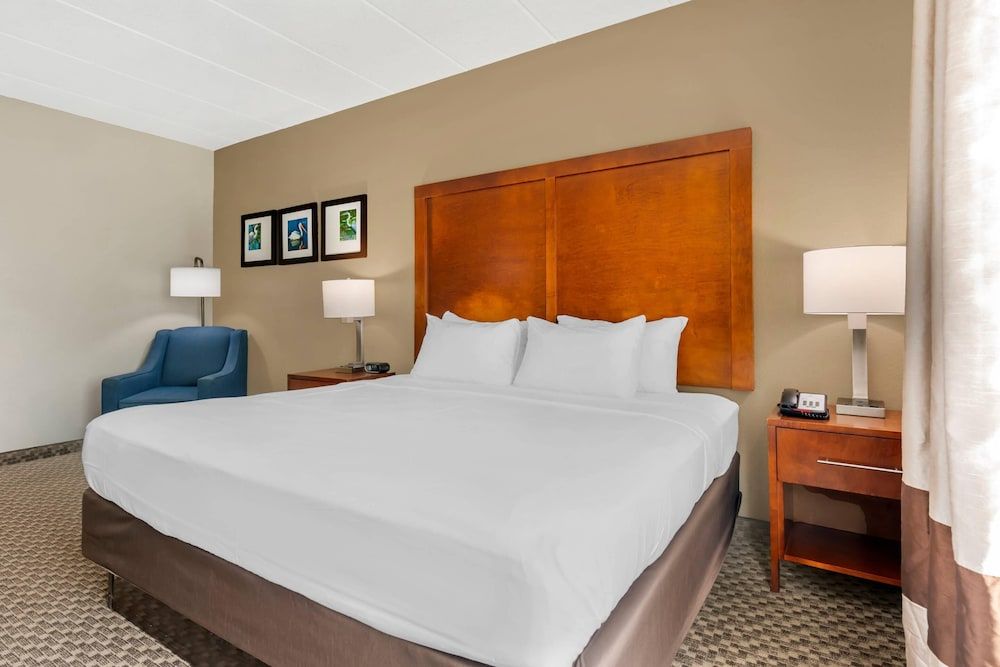 Room, 1 King Bed, Accessible, Non Smoking