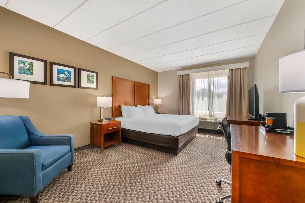 Room, 1 King Bed, Accessible, Non Smoking