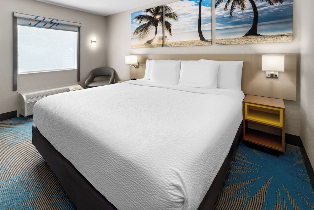 Standard Room, 1 King Bed, Accessible