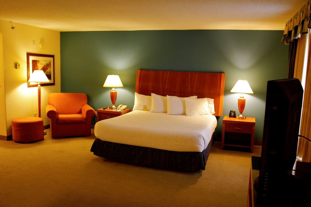 Room, 1 King Bed, Accessible