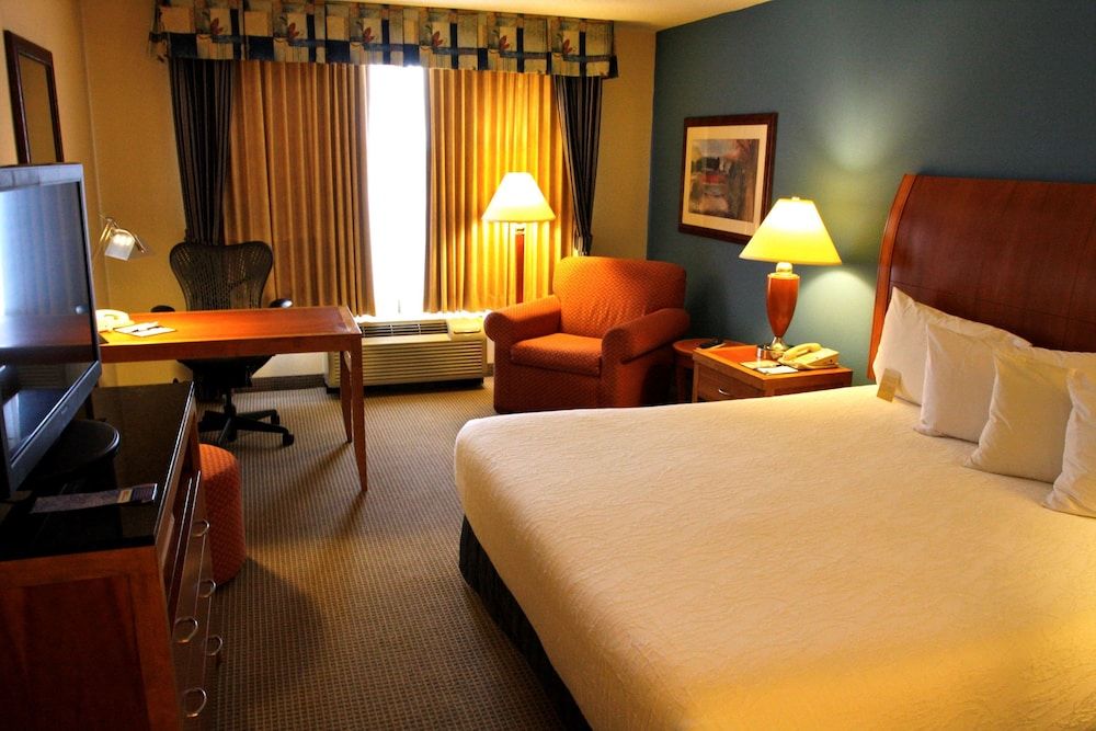 Room, 1 King Bed