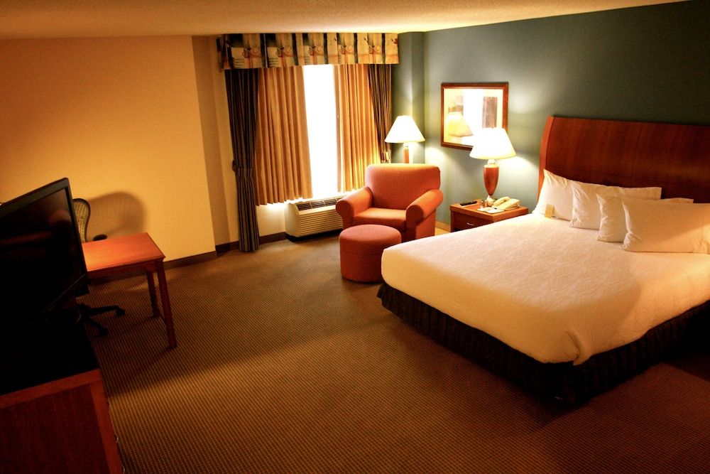 Room, 1 King Bed, Accessible