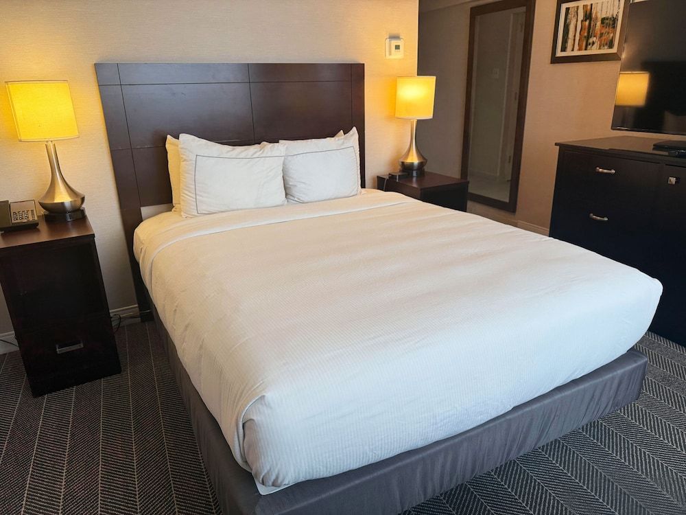 The Brookhaven Atlanta Hotel Standard Single Room, 1 Queen Bed 2