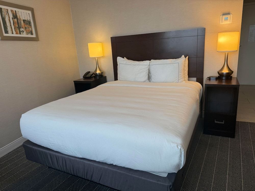 The Brookhaven Atlanta Hotel Standard Single Room, 1 Queen Bed 3