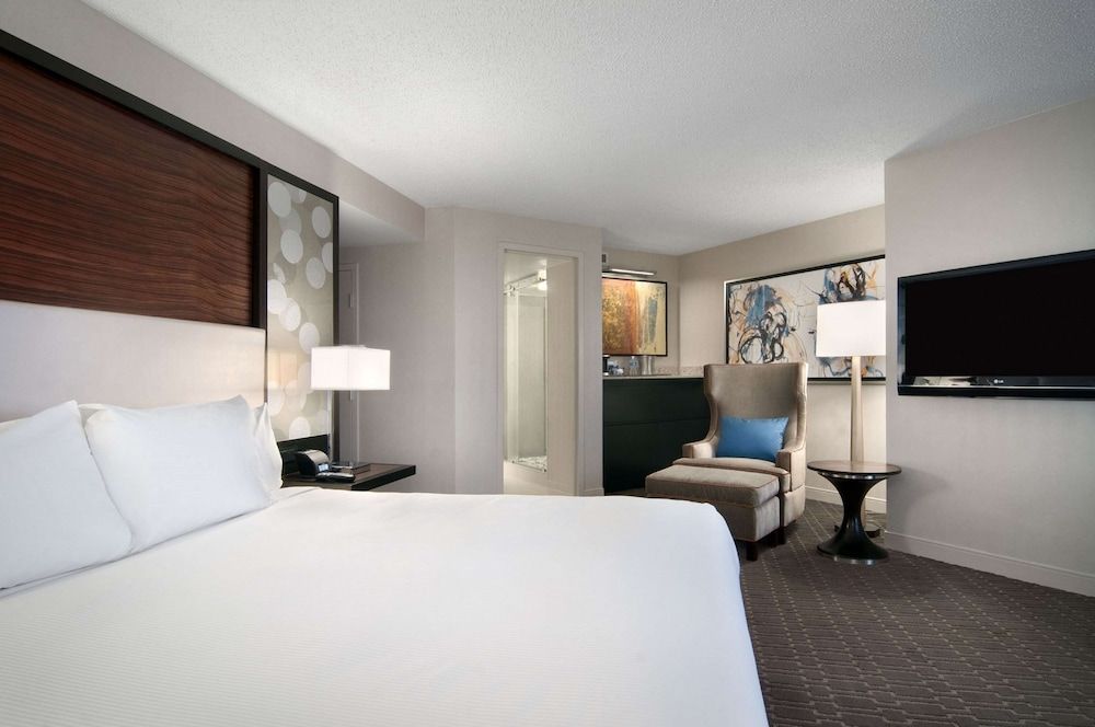 Mini suite, One King Bed