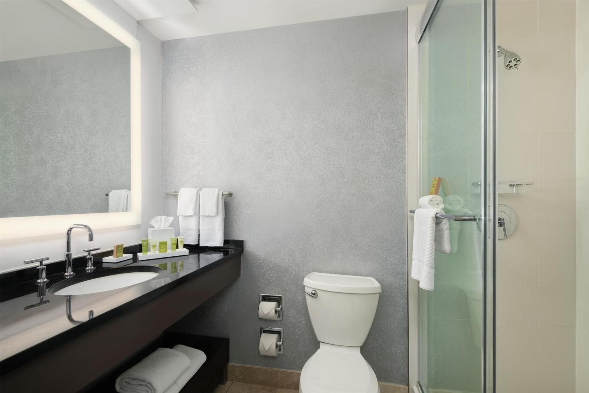 1 King 2 Double 2 Bedroom Premium Suite W/parlor