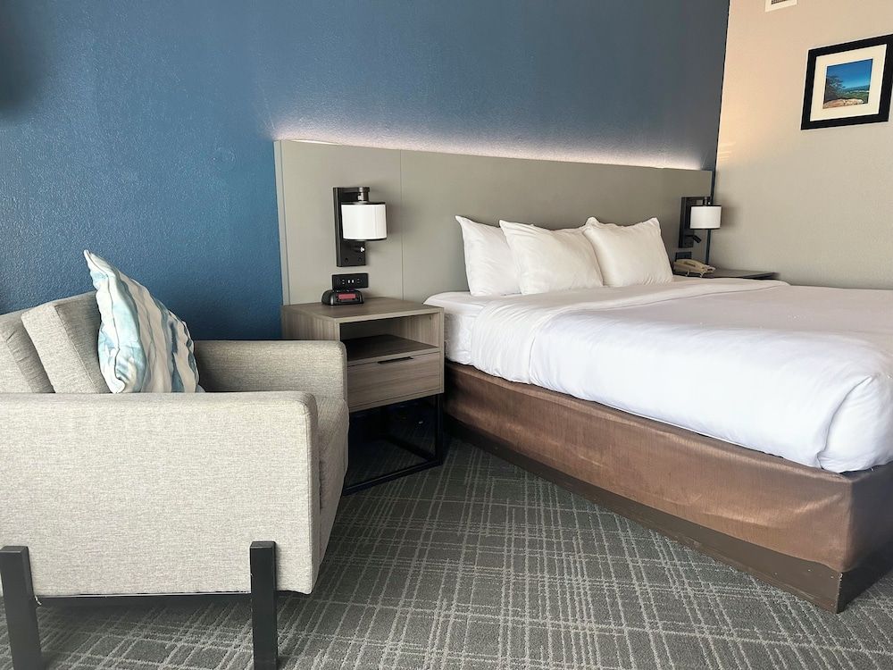 Business Room, 1 King Bed, Accessible, Non Smoking