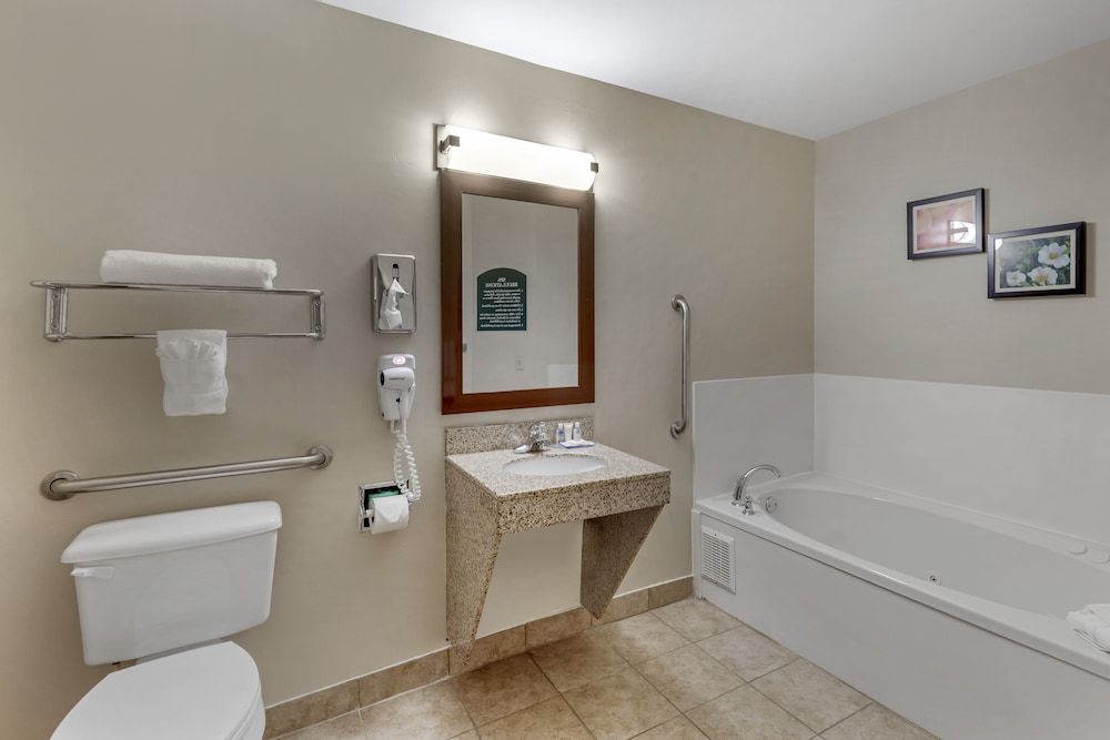 Room, 1 King Bed, Non Smoking, Jetted Tub