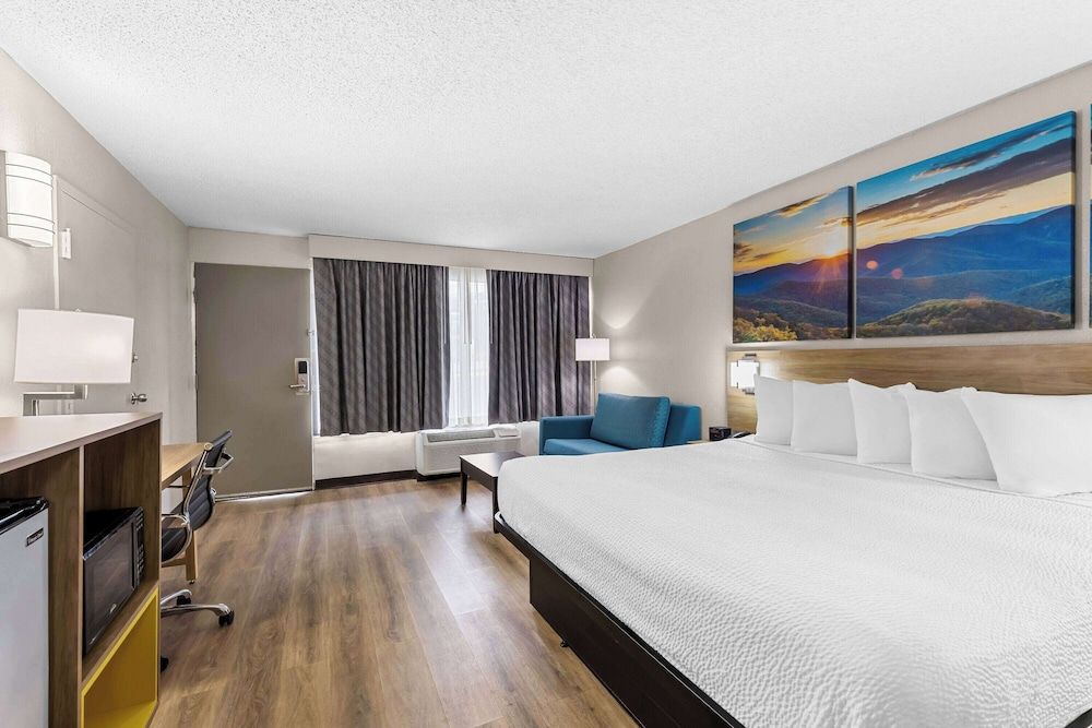 Room, 1 King Bed with Sofa bed, Accessible, Non Smoking