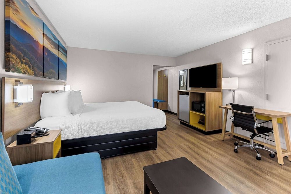 Room, 1 King Bed with Sofa bed, Accessible, Non Smoking
