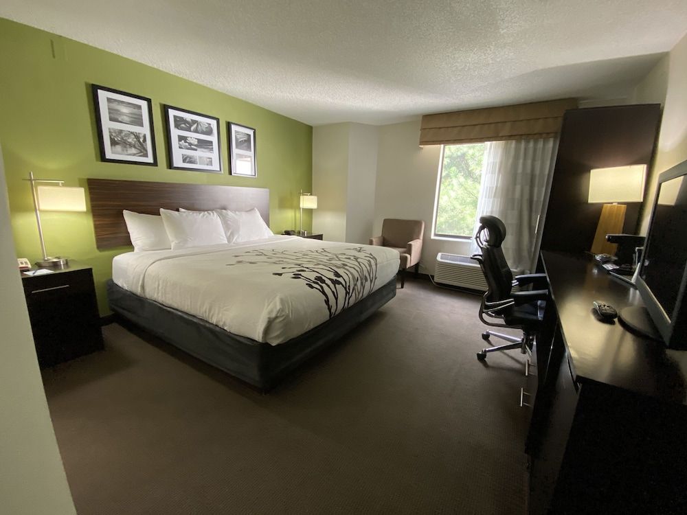 Standard Room, 1 King Bed, Non Smoking