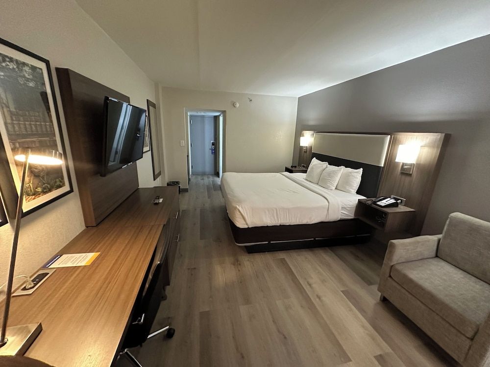 Standard Room, 1 King Bed, Non Smoking