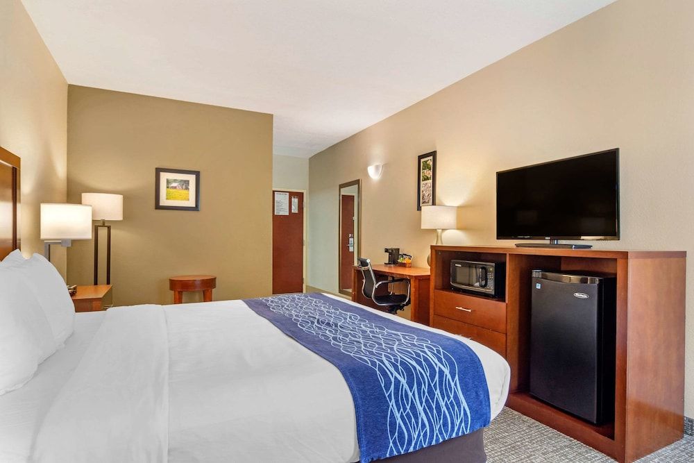Standard Room, 1 King Bed, Accessible, Non Smoking