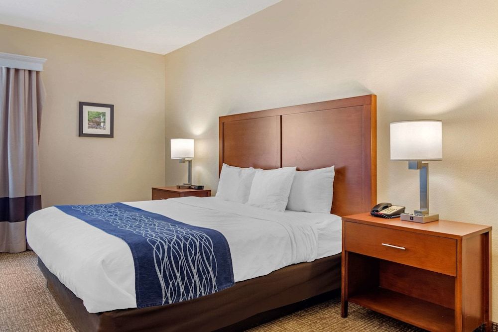 Standard Room, 1 King Bed, Accessible, Non Smoking