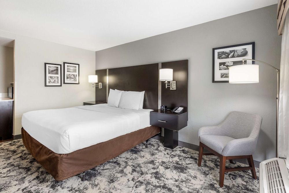 Standard Room, 1 King Bed, Non Smoking, Refrigerator & Microwave