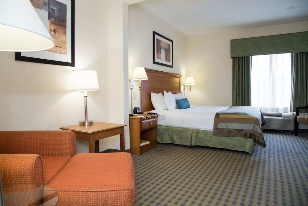 Room, 1 King Bed, Non Smoking
